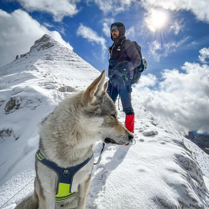 _walking.wolf