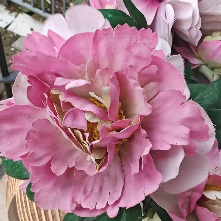 @k391630