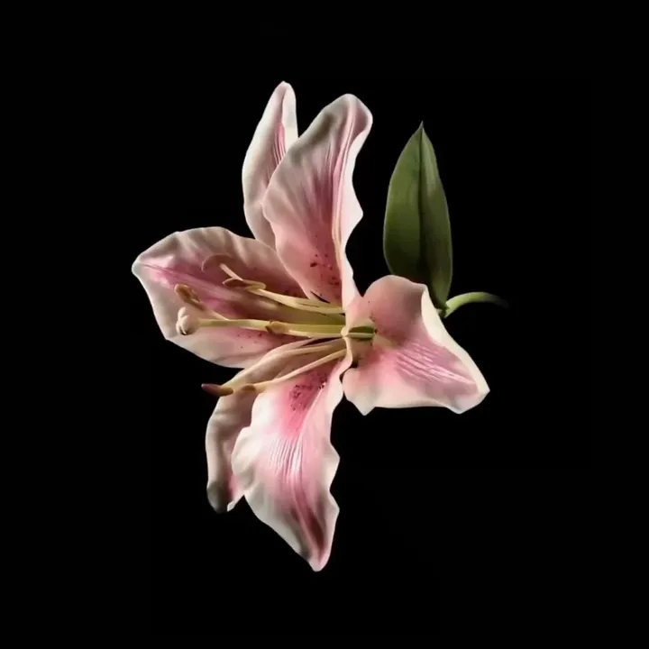 @p4ul1ne_1