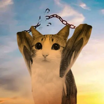 @theoneandonlyreal_meowl