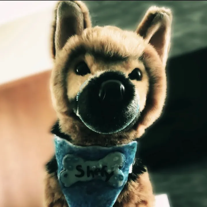@germanshepherdfan01