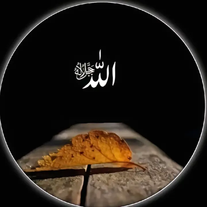 islamic_video77_