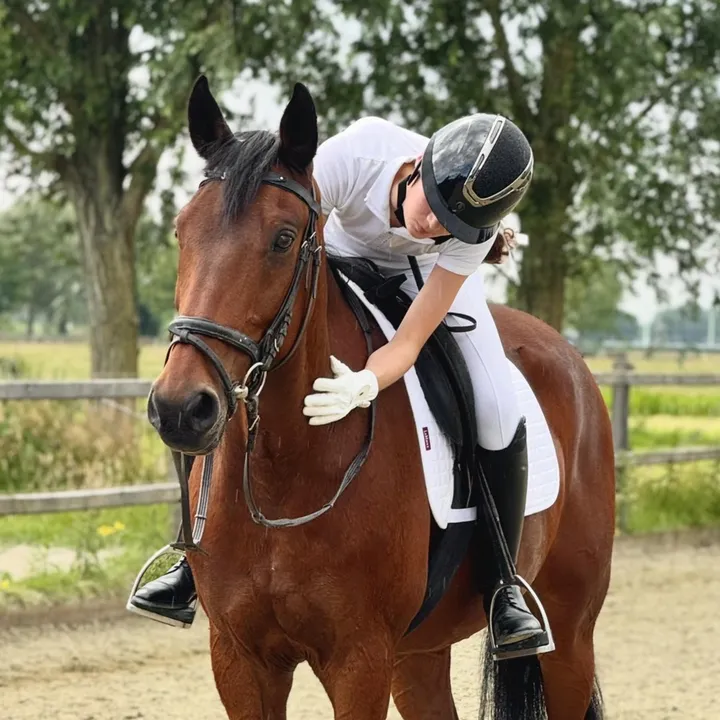 equi.jenn