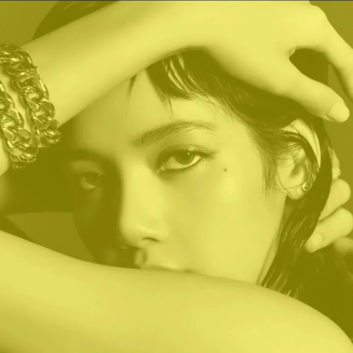 @army_jk_blink_lisa111