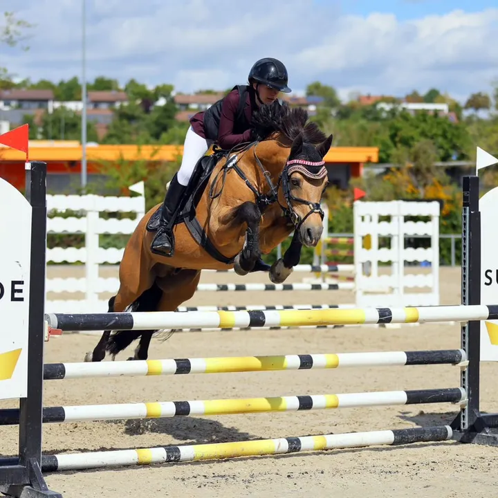 @pony4champion