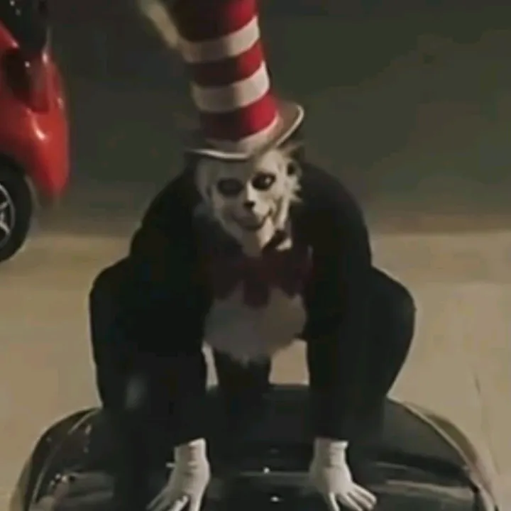 @catandthehatgang