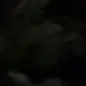 @moha_sarah1