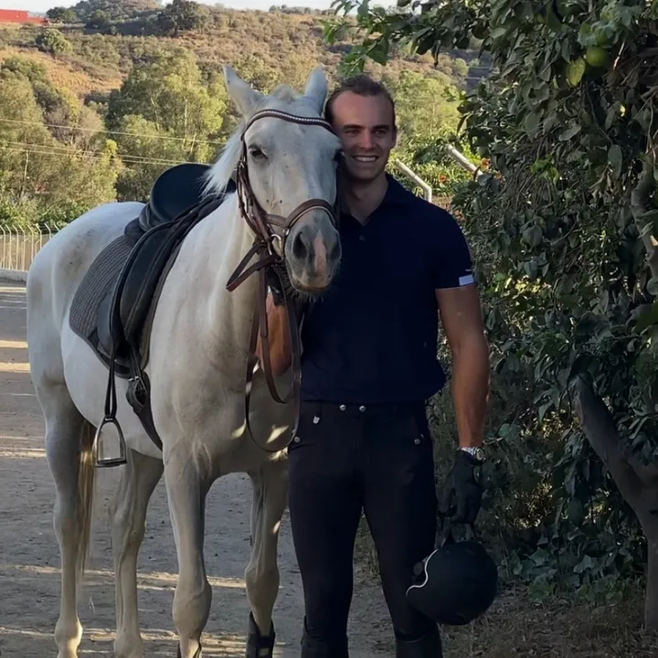 elmo.equestrian