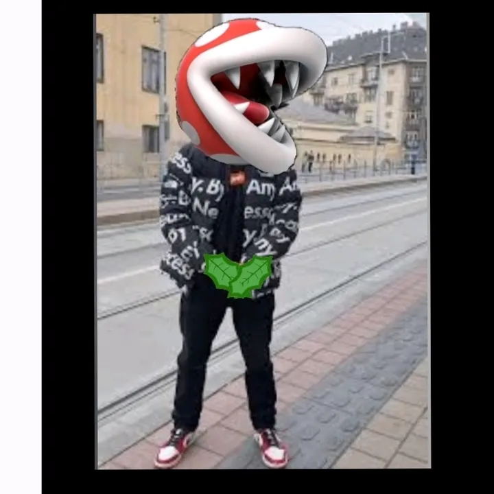 misterjer2