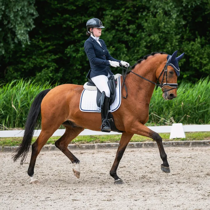 lvdp_equestrian