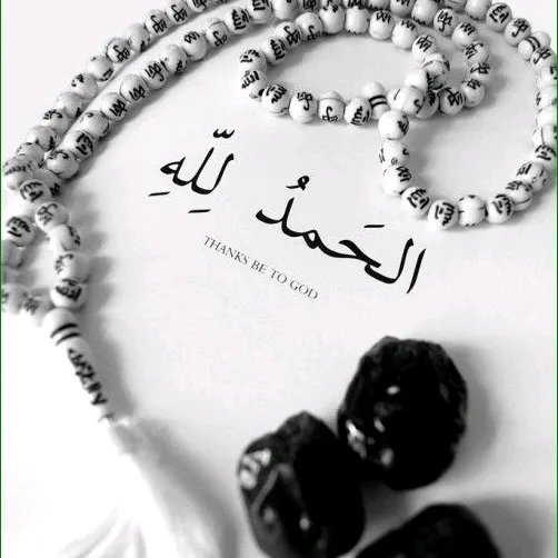 kamranmir70