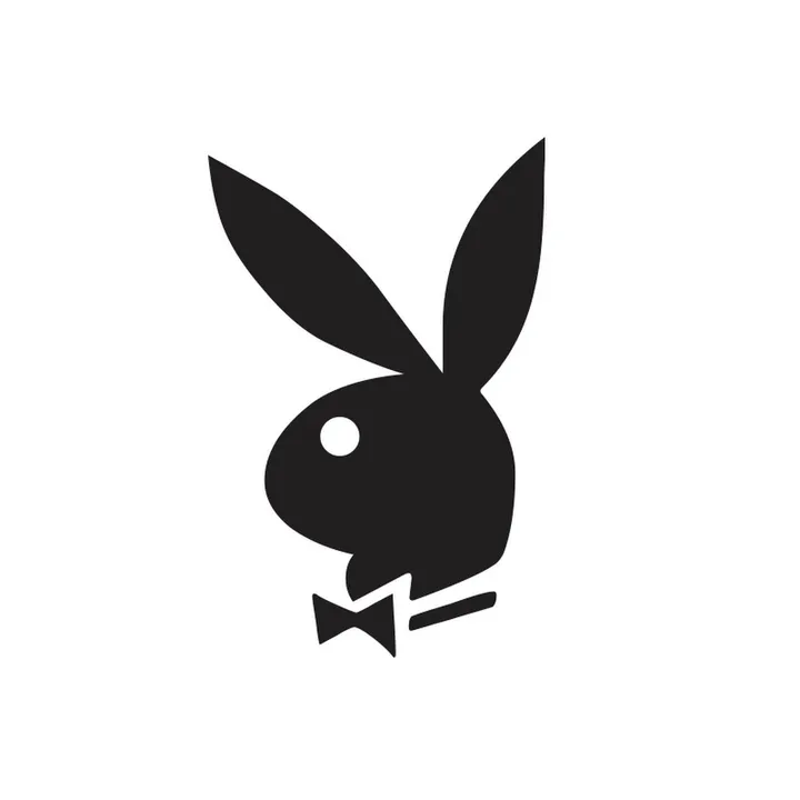 theplayboyplaybook