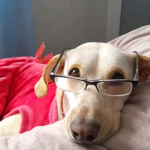winniebebita
