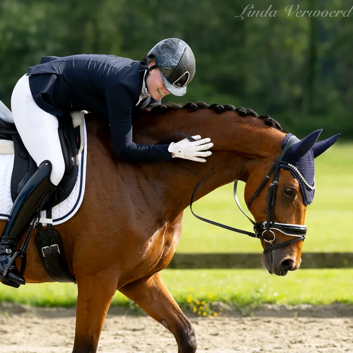 lvdp_equestrian