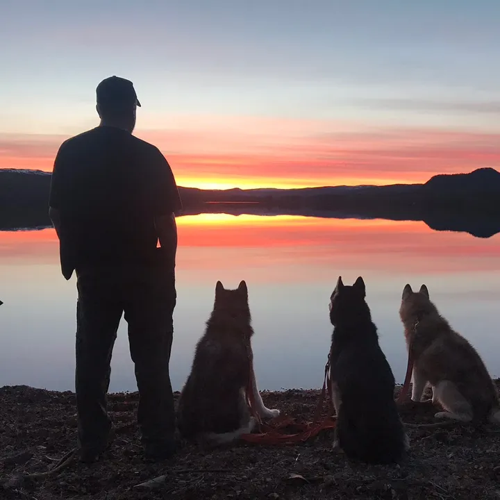damos.dogs