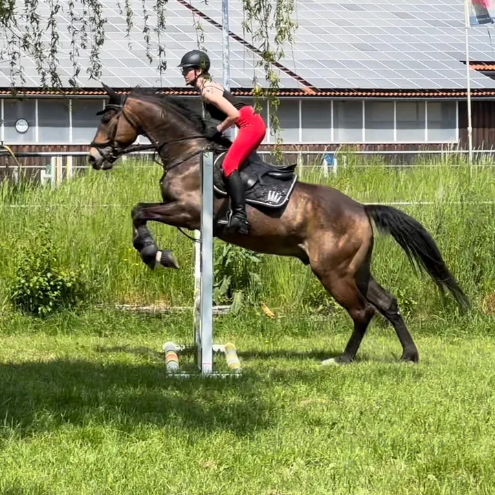 leonilang2001