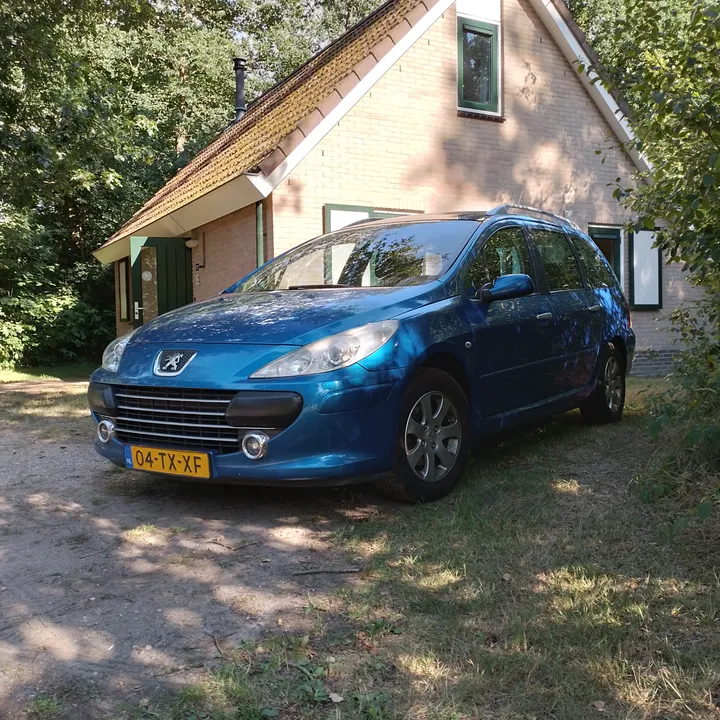 @thatonepeugeot307sw