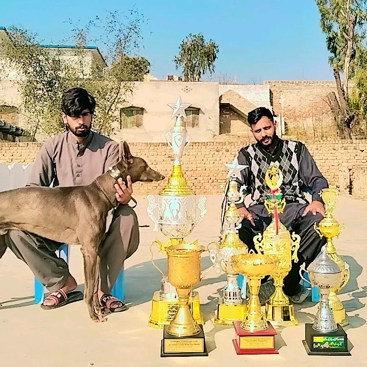 ch.malik.and.khan.group