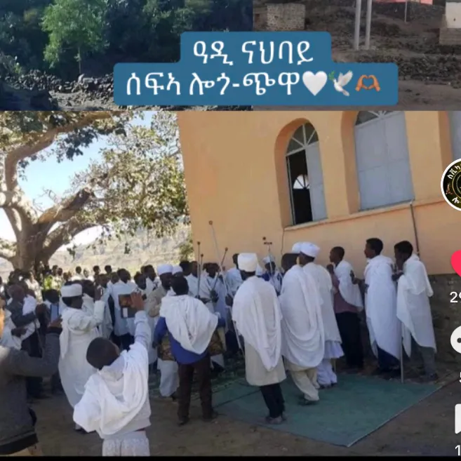 nayhamamey3