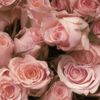 @xoxo.its.anonymous