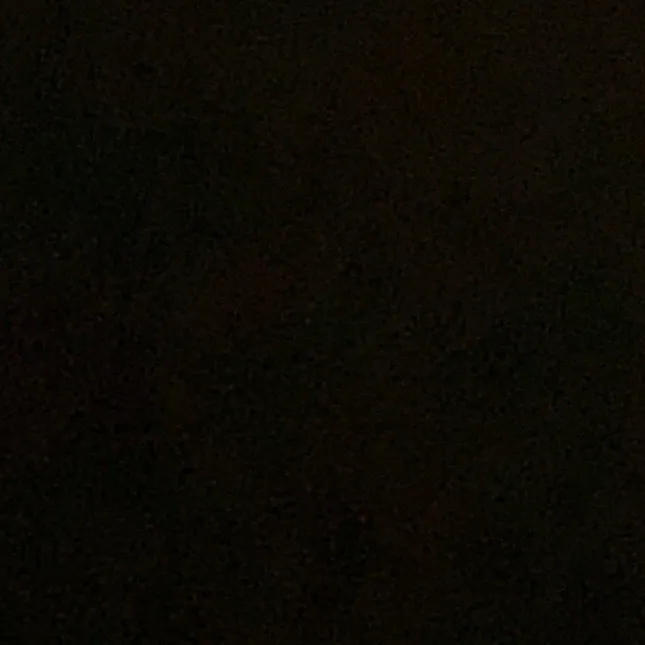 emma_stgt21
