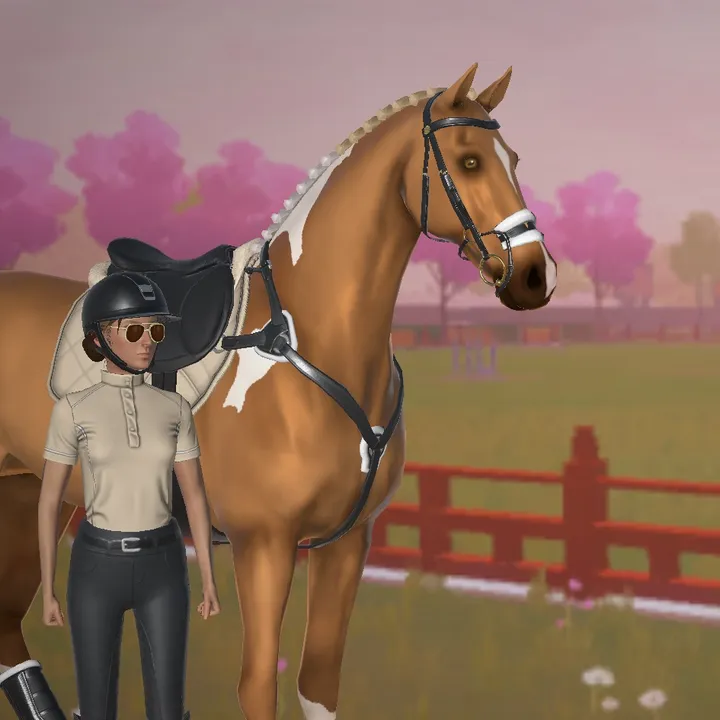 @etg_allrounder_stable