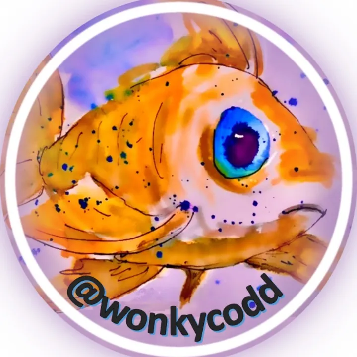 wonkycodd