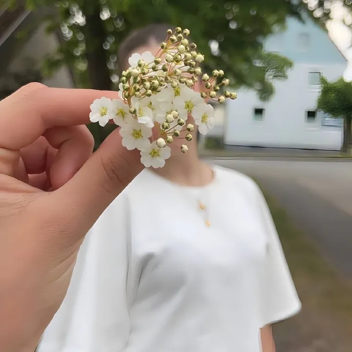 eliza.kuci