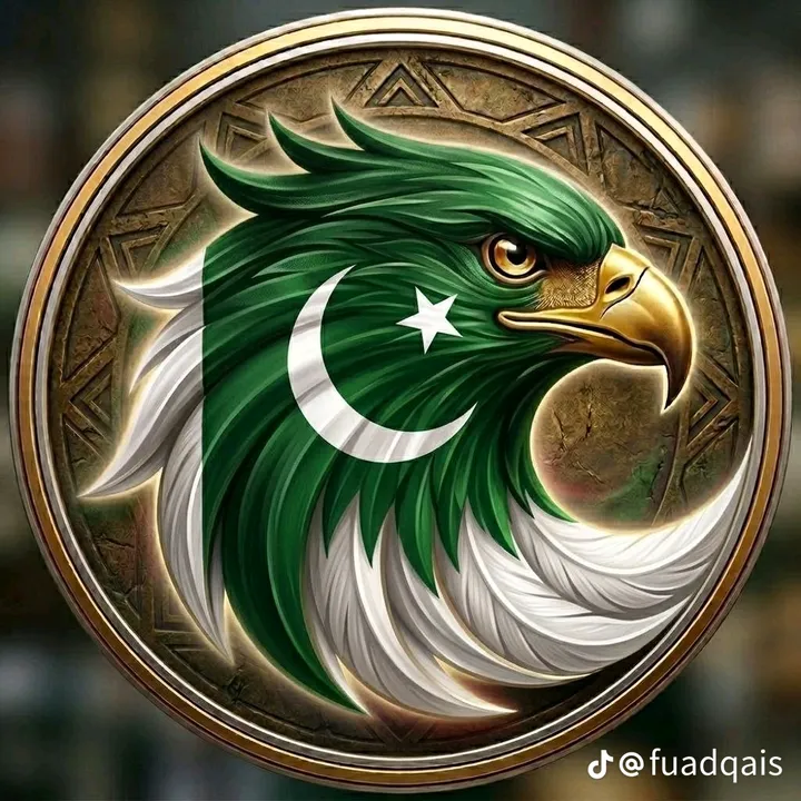 @majadali00