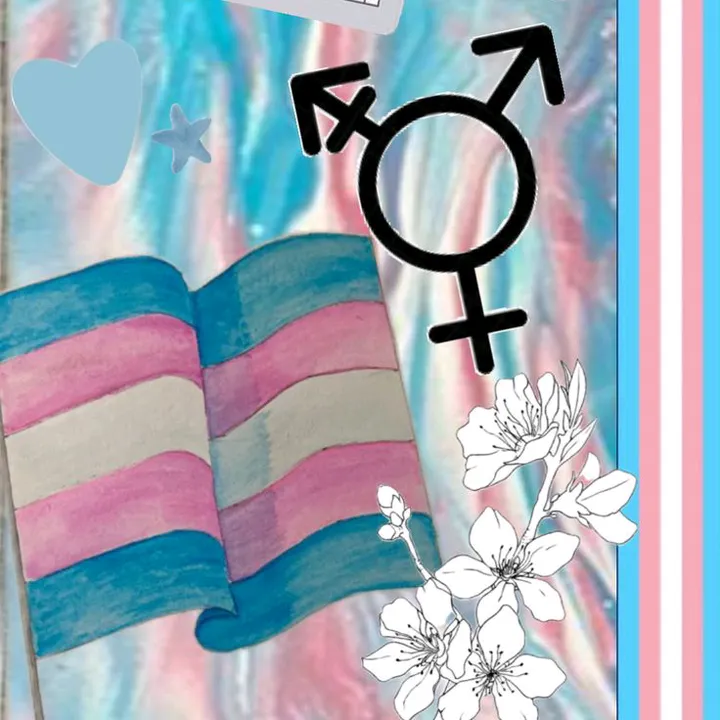 alicia_trans0
