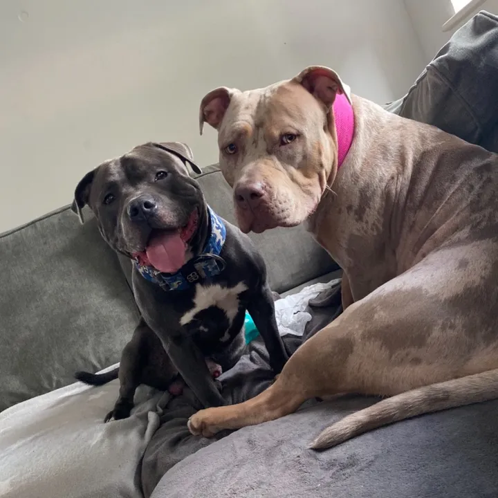 busterandnova