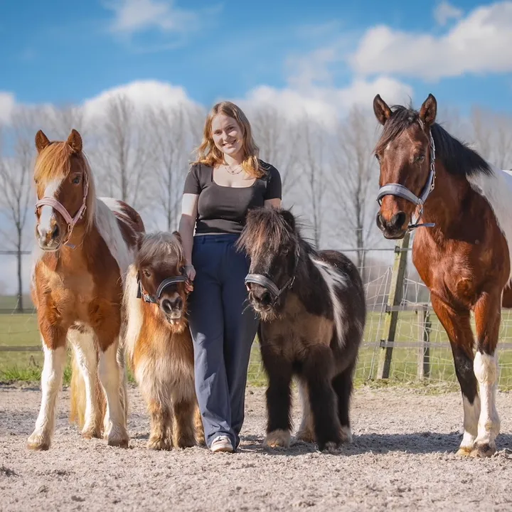@idh_horses