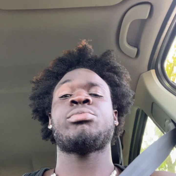 niro_x1