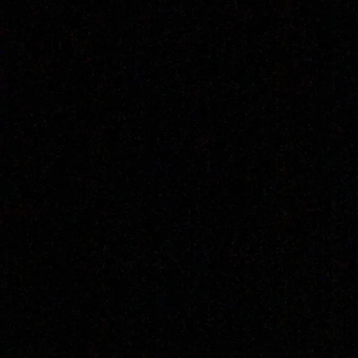 shadow_gang4