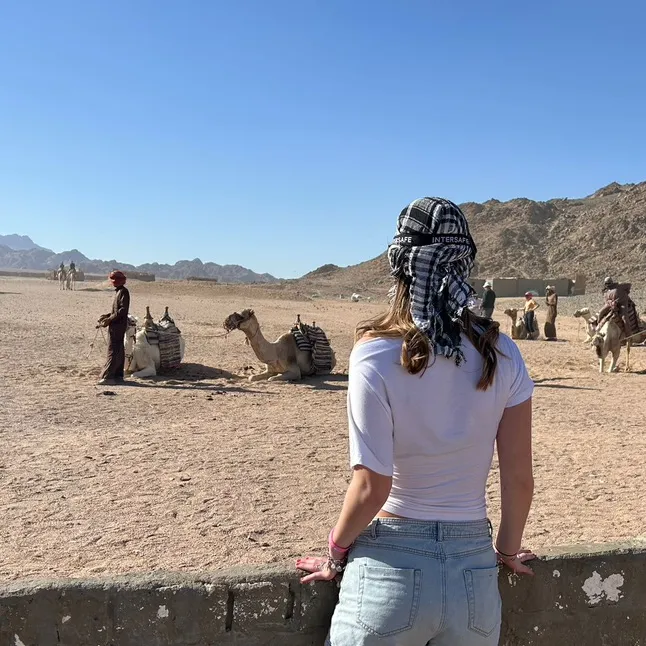 @esmeep2408