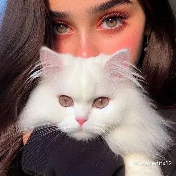 sheren.amar5