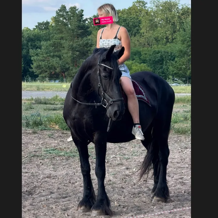 xelina_19