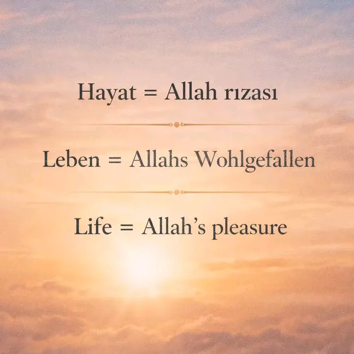 hayat.leben.life