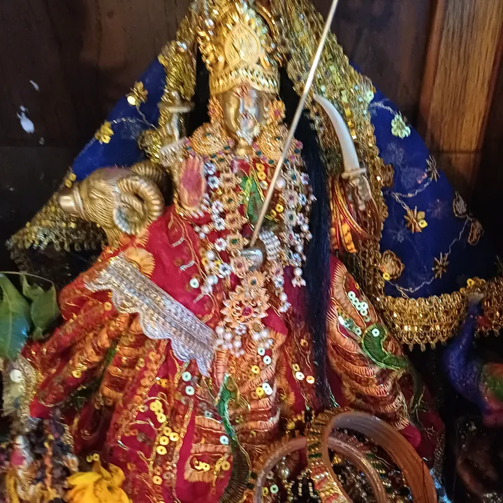 kuvarvas