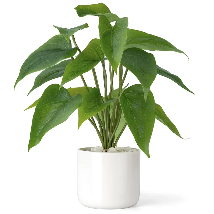 plant2913