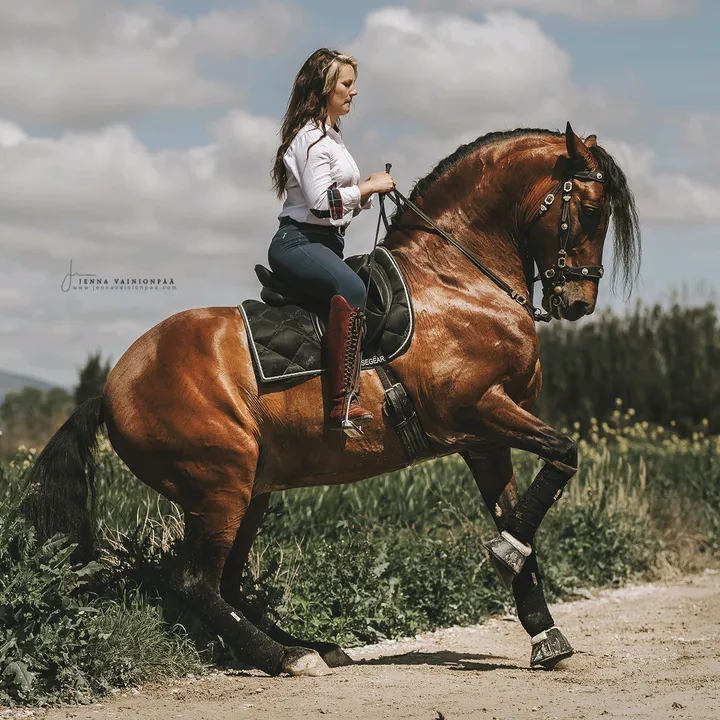 laurastiina