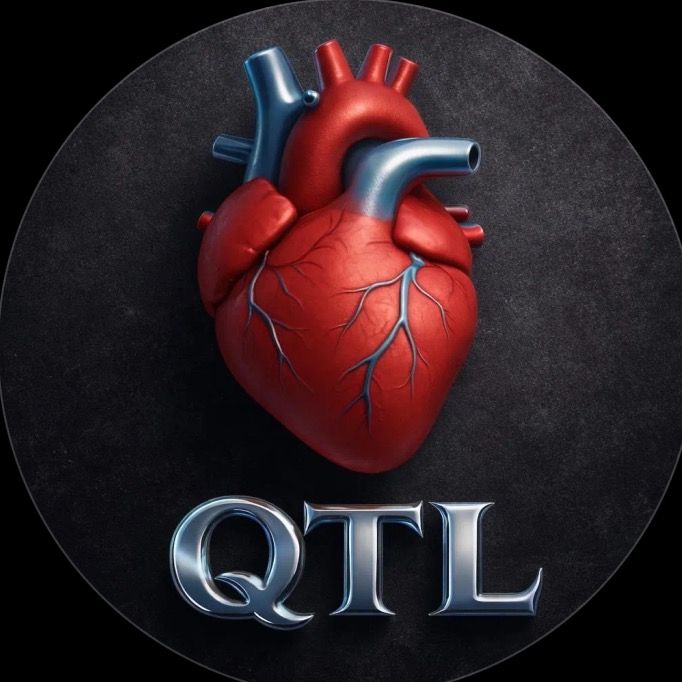 QTL🫀 - original sound