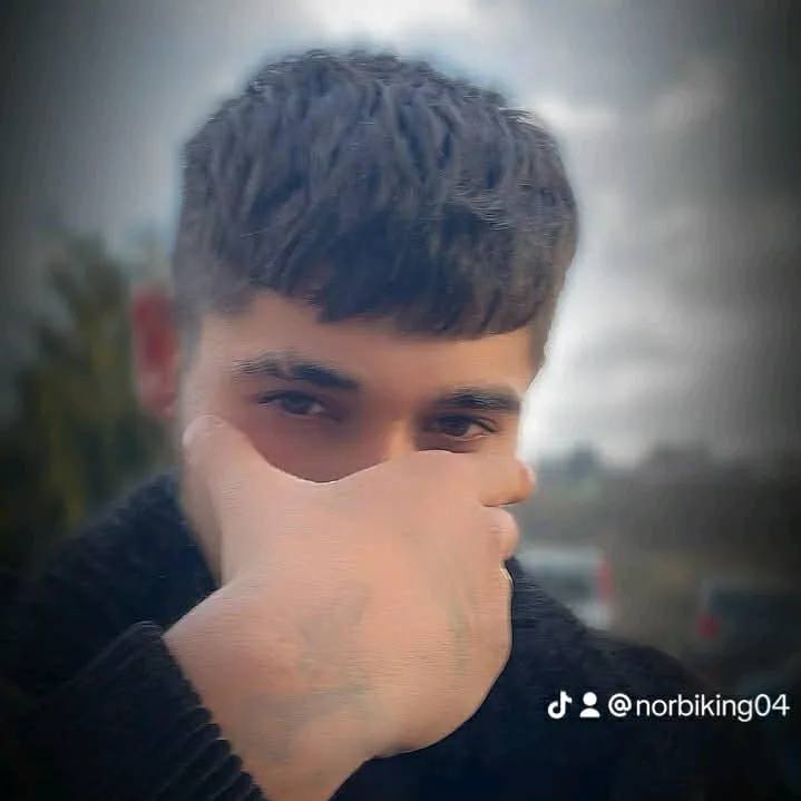 norbibos