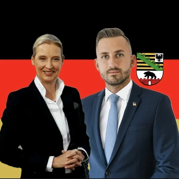 afdcontent51