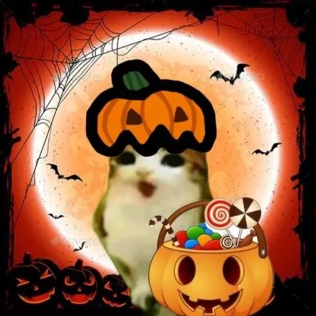 @sparkszaayy_paws