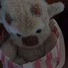 marlene_3924