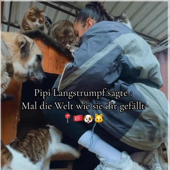 dogoargentino_mami