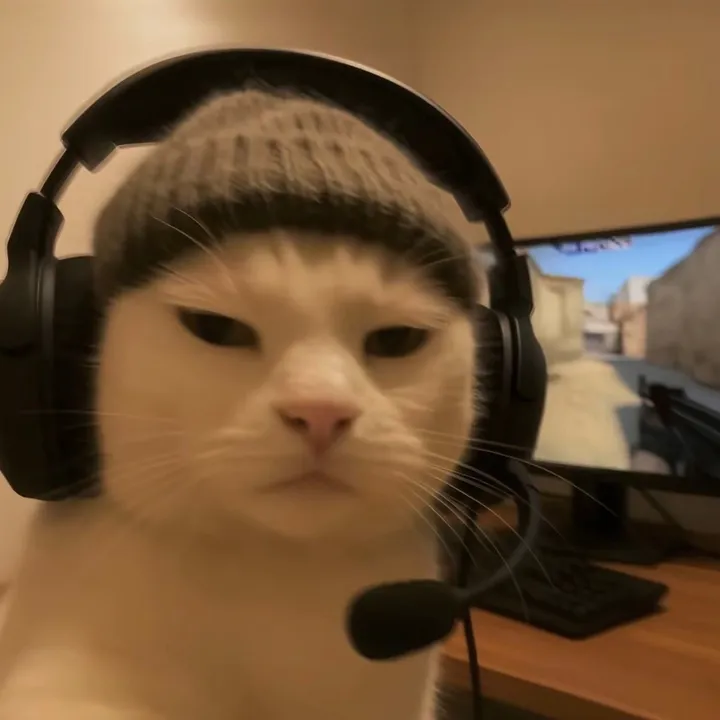 gameshub310