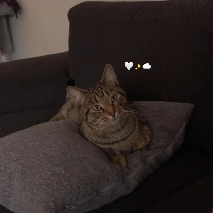 xx__tamara__offiziell