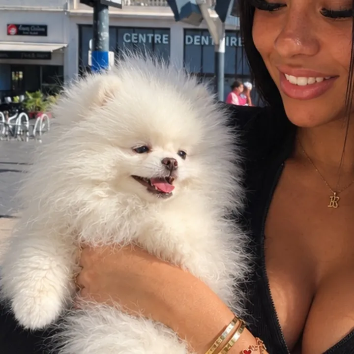 @555lvd_